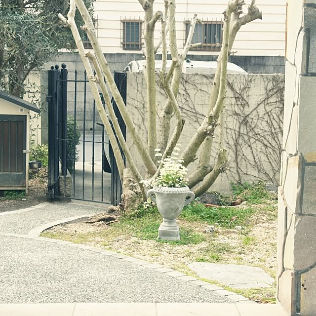ruru357さんの実例写真