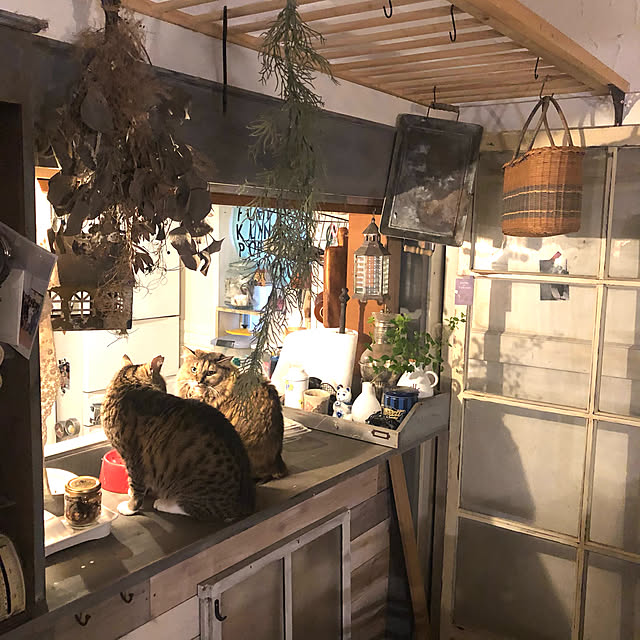 シャビー/IG➡︎pompnela.happy/アンティーク風/リメイク/リメイク家具...などのインテリア実例 - 2021-05-23 08:45:08