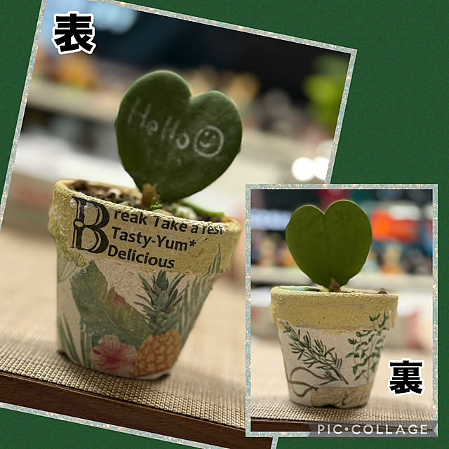 Aqettyさんの実例写真