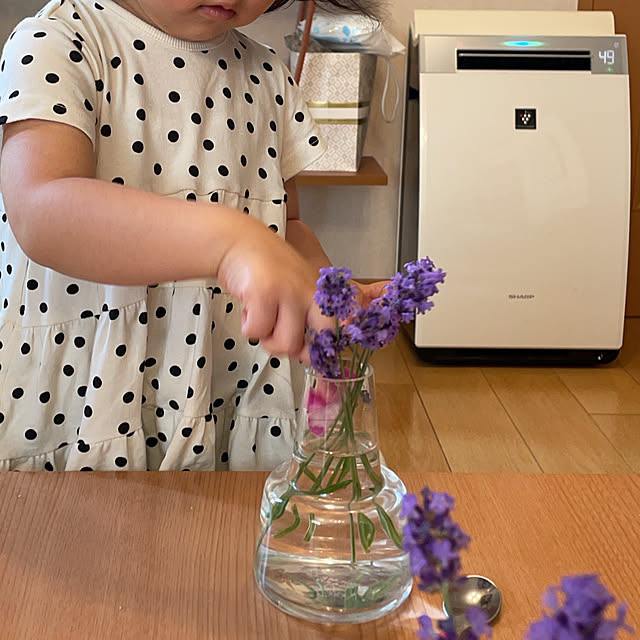 kuikoさんの部屋