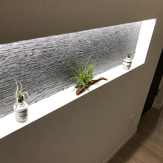 minaさんの実例写真