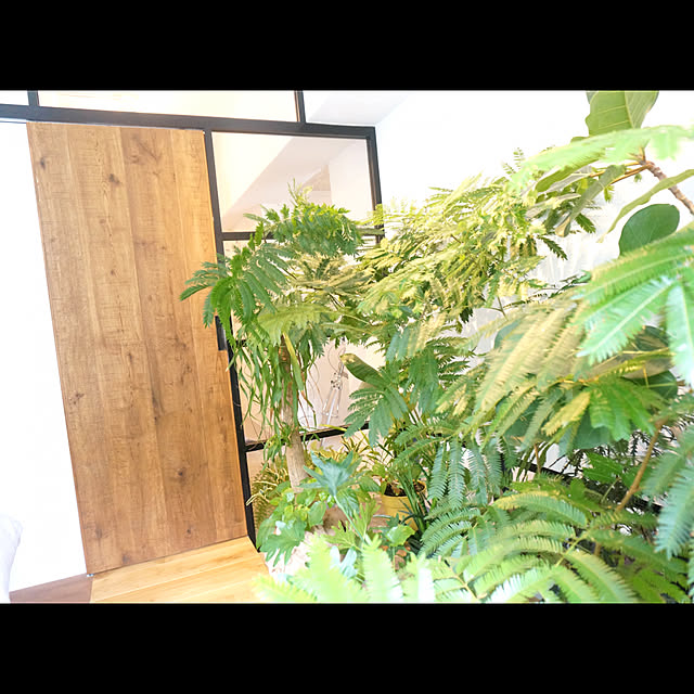 GardenGalleryさんの実例写真