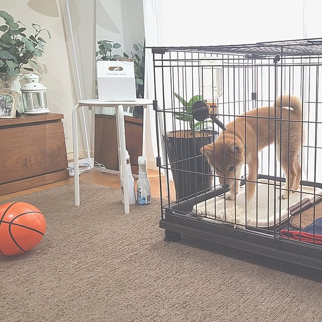 mikoさんの実例写真