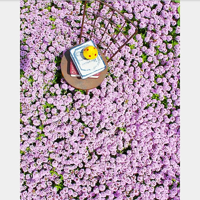 naho81078さんの実例写真