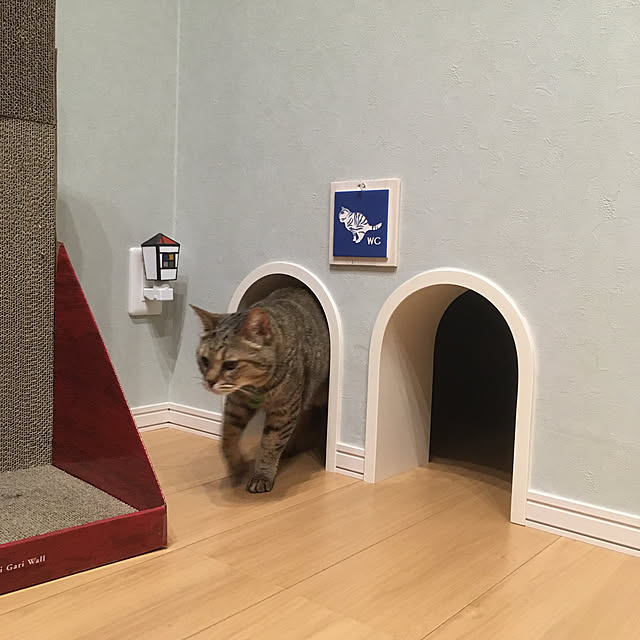 nyancohomeさんの実例写真