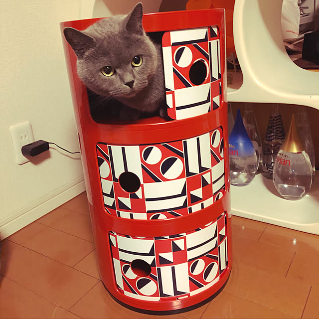 ikettenさんの実例写真