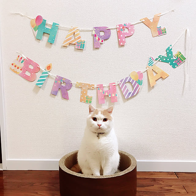 amutantanさんの実例写真