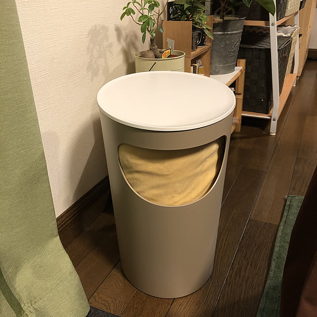 akokiさんの実例写真