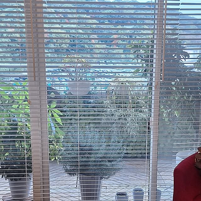 hakata-baさんの実例写真