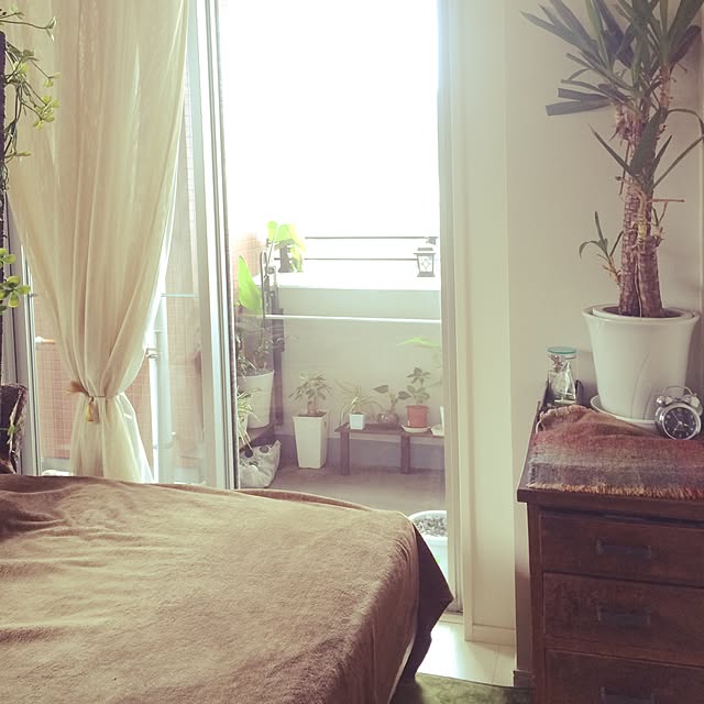 cloudia_gardenさんの実例写真