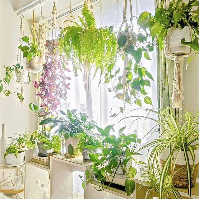 YuriYuriさんの部屋