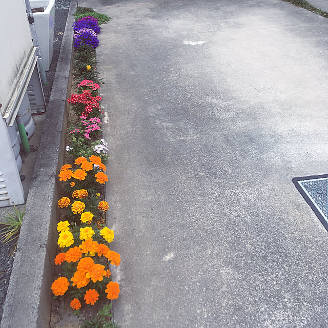eriさんの実例写真