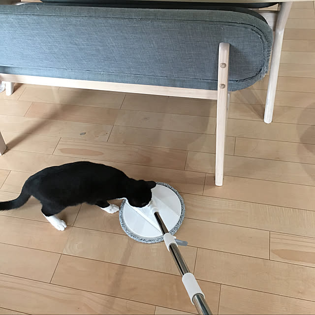 nekoさんの実例写真