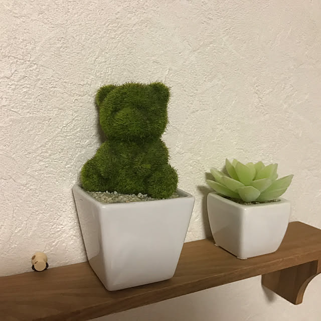 makoさんの実例写真