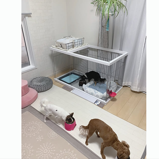 makoさんの実例写真