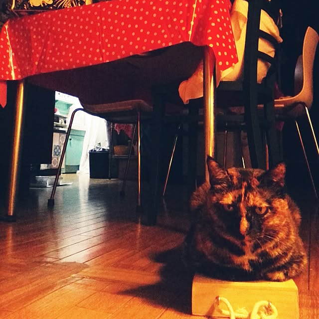 yukapiyonさんの実例写真