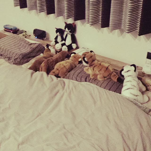 masax_xさんの実例写真