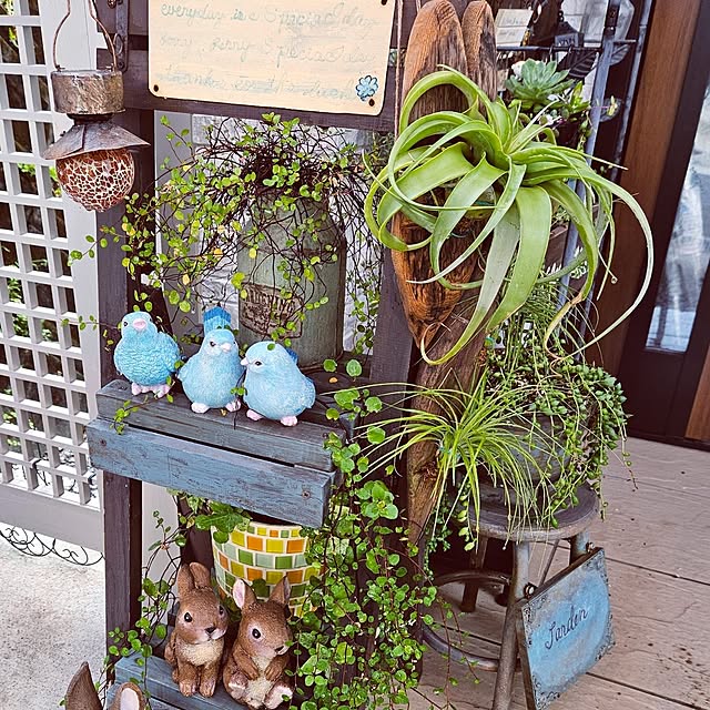 mocomocoさんの部屋
