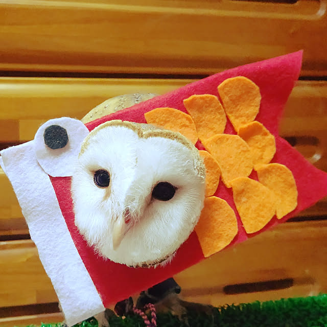 mikiさんの実例写真