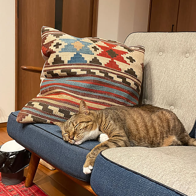 maruさんの実例写真