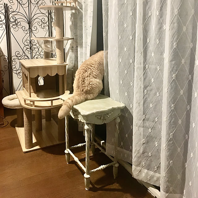 naokoさんの実例写真