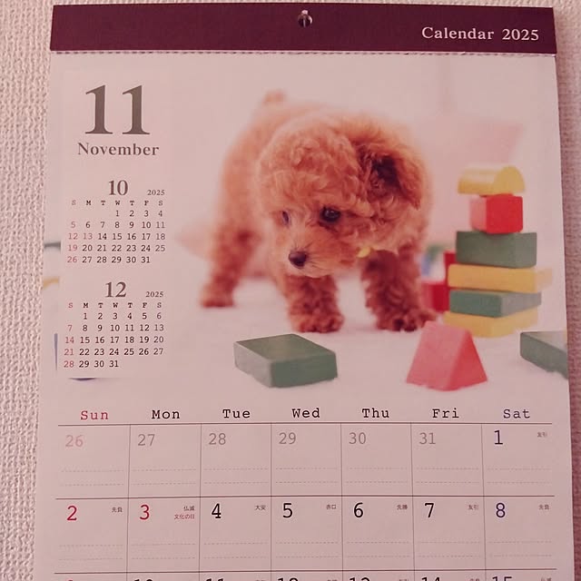 rieさんの実例写真