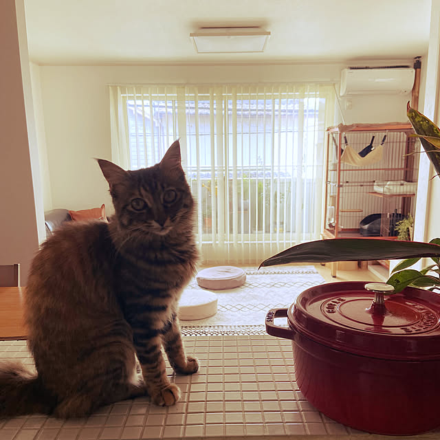 gachaさんの部屋