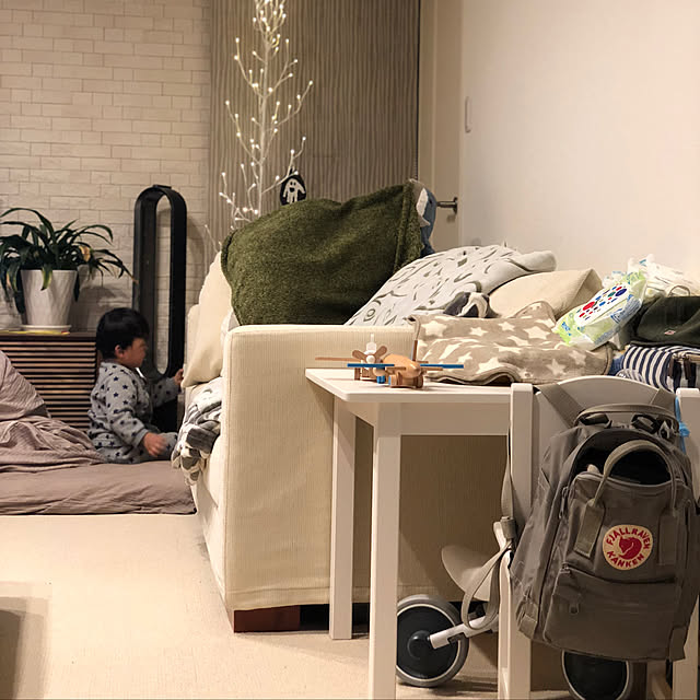 tripcameraさんの実例写真