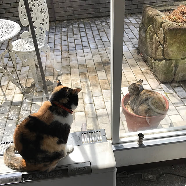 kaedeさんの実例写真