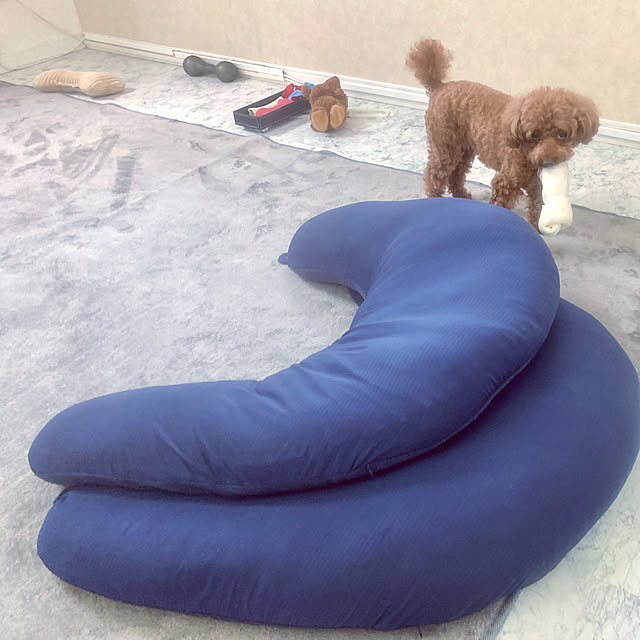 MOMOMAMAさんの実例写真