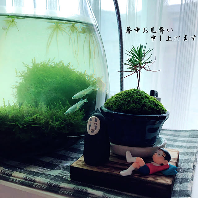 mangoさんの実例写真