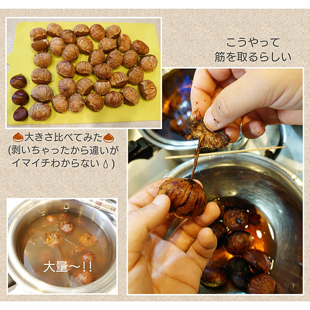 ToReTaRiさんの実例写真
