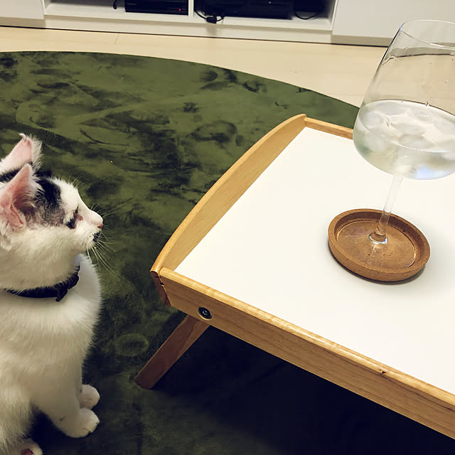 katapiさんの実例写真
