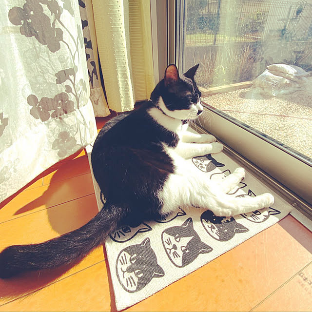 moolさんの実例写真