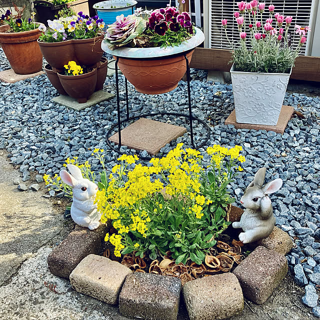 CoCo0617さんの実例写真