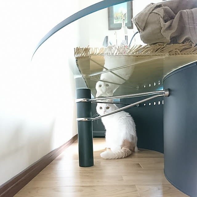sさんの実例写真