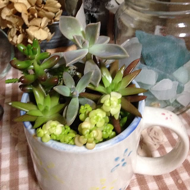 実例写真