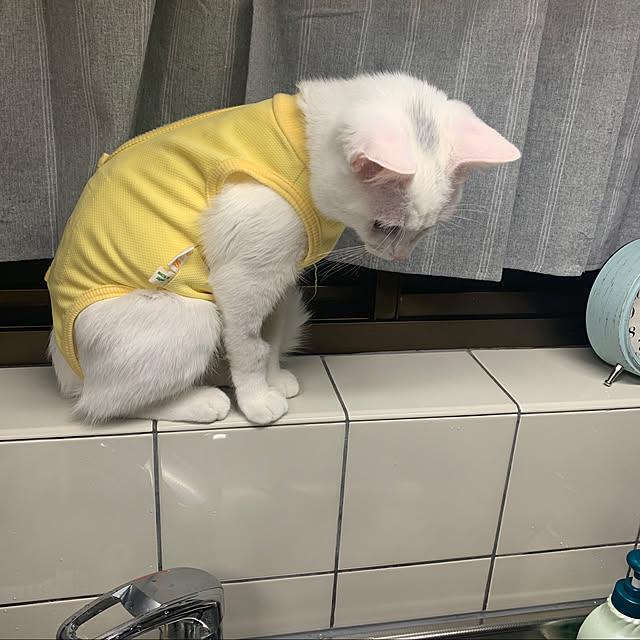 keiさんの実例写真