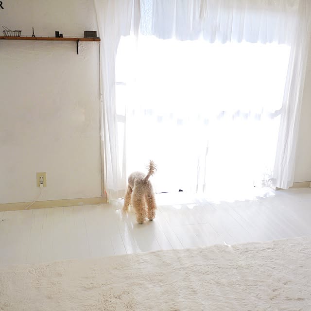hiro-hvさんの実例写真