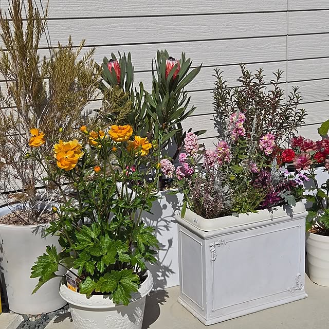 nonbiri_house_さんの部屋