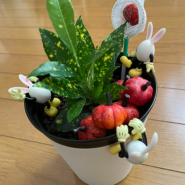 yuyuさんの部屋