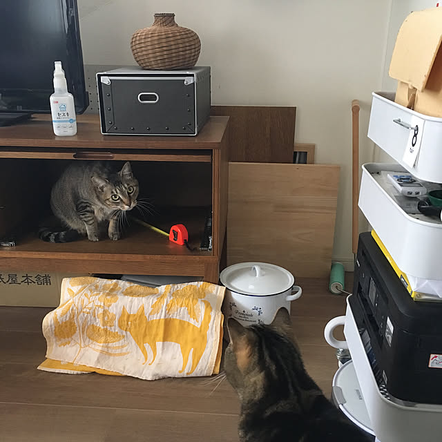 mikomaruさんの実例写真