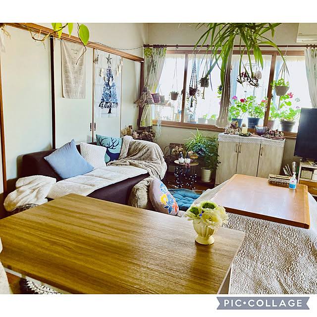 CoCo0617さんの実例写真
