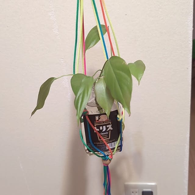 mikoさんの実例写真