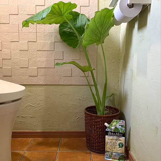 mizucchiさんの実例写真