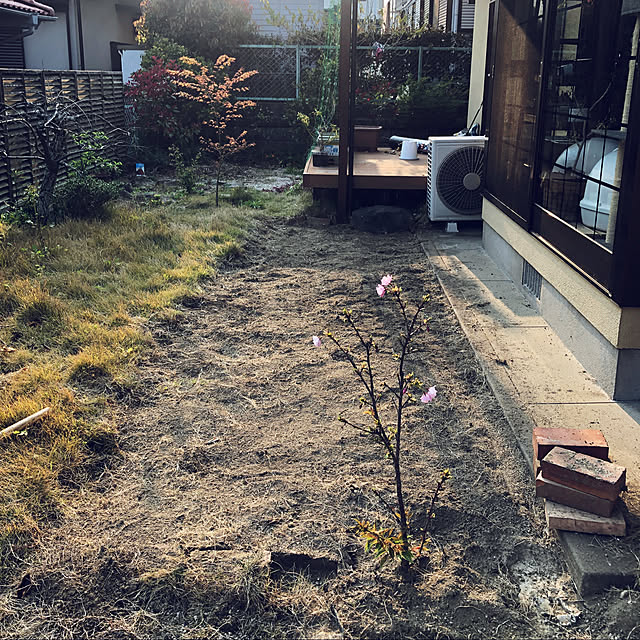 Yukinekoさんの実例写真