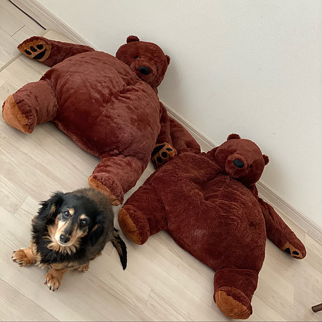 ohanaさんの実例写真