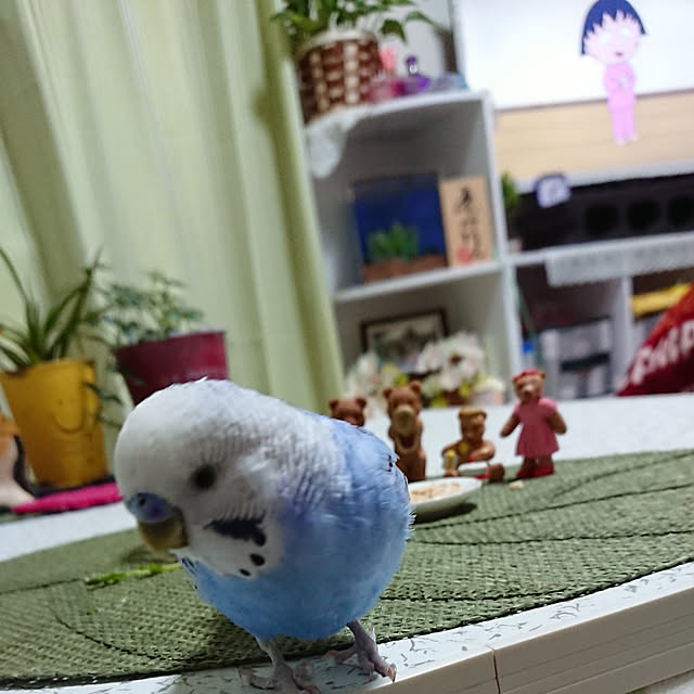 sueponさんの実例写真