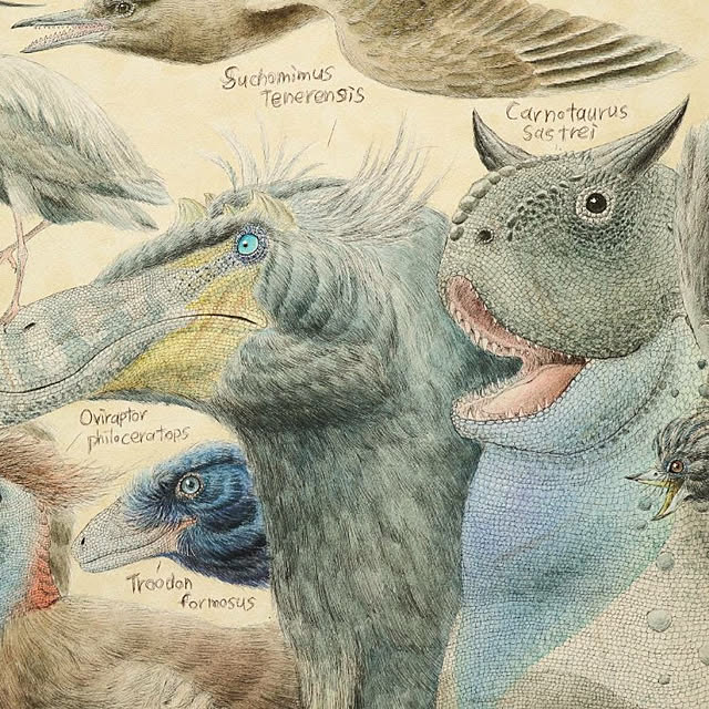 opiopiopiさんの実例写真