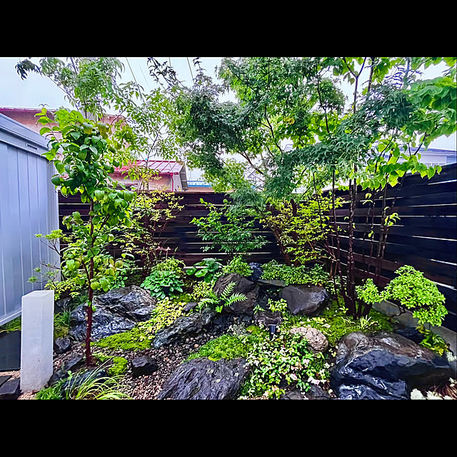 tamabaka1971さんの部屋